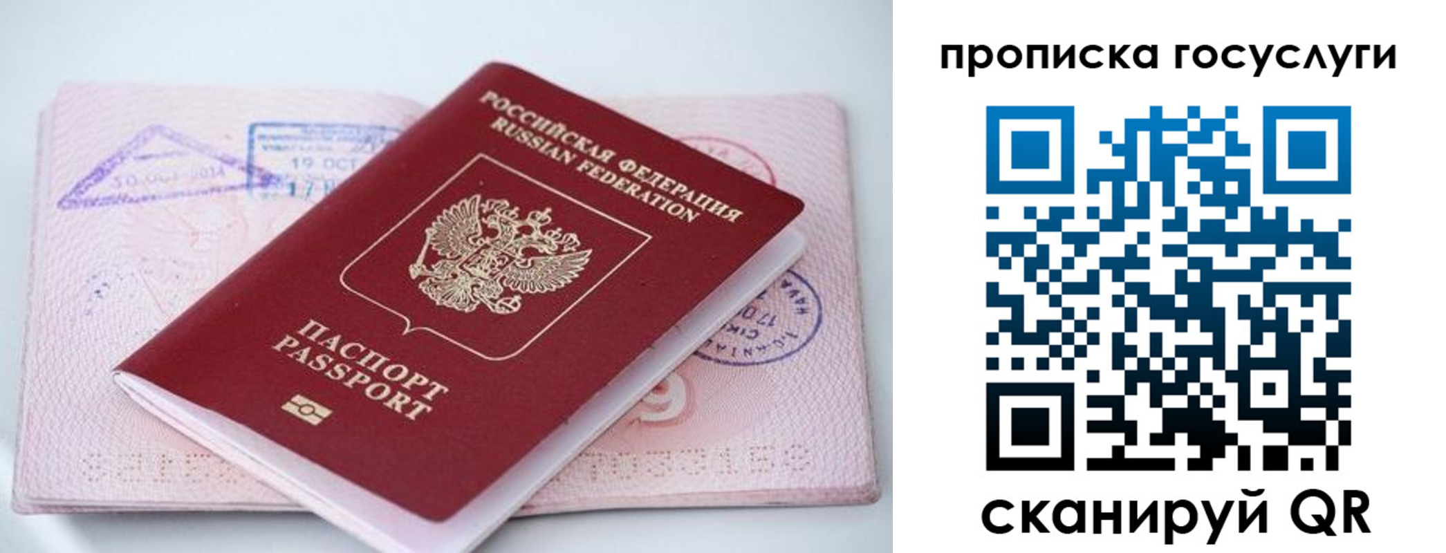 прописка законно в Корсакове